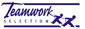 Teamwork Selection