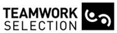 Teamwork Selection